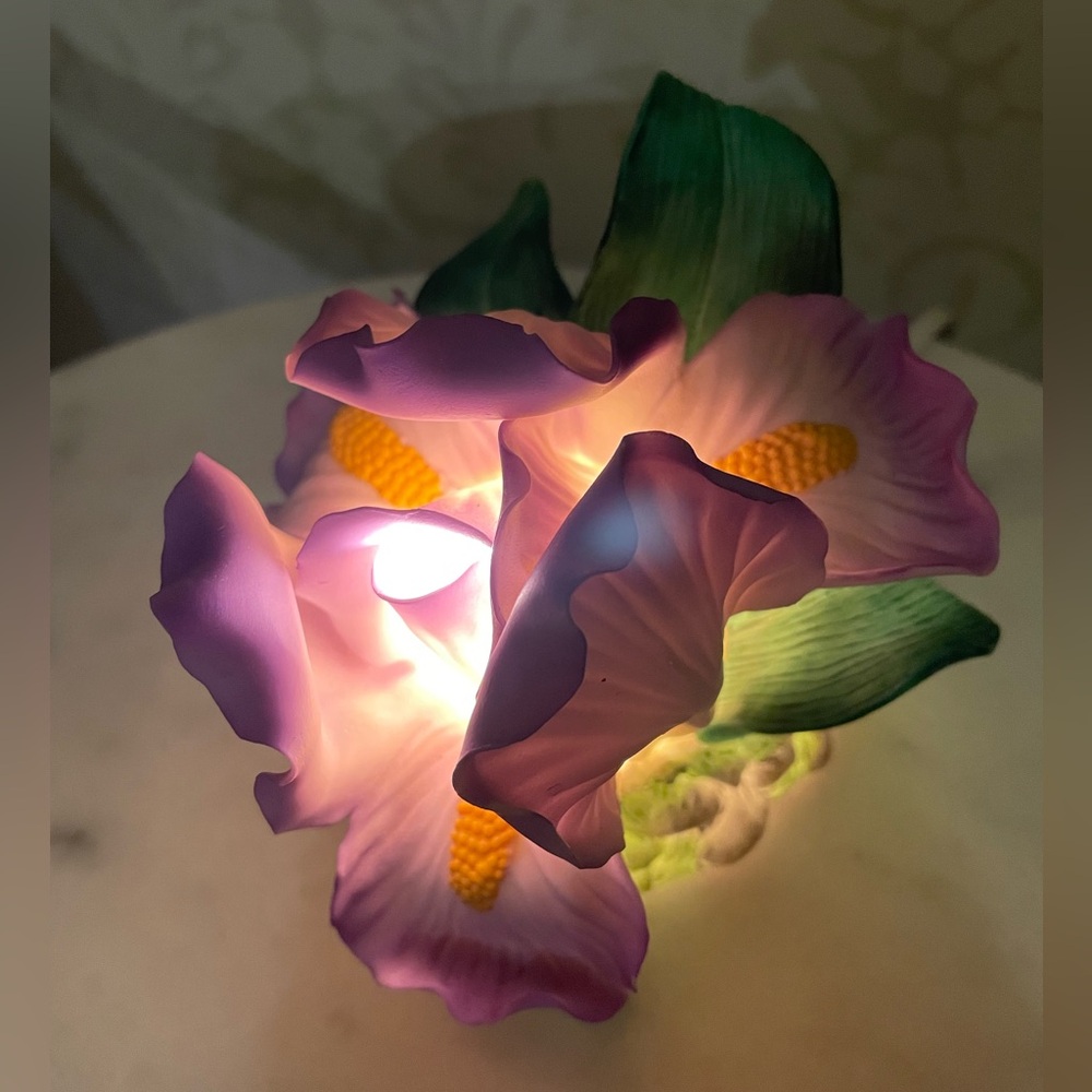 Dainty ceramic iris light.